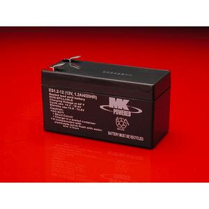 MK Sealed AGM 12 Volt Battery (12V013)