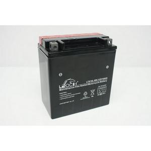 LEOCH Power Sport 12 Volt Battery (LTX16L-BS), Dry Charged AGM Maintenance Free