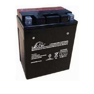 LEOCH Power Sport 12 Volt Battery (LTX14AH-BS), Dry Charged AGM Maintenance Free