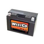 WestCo Power Sport 12 Volt  Battery (12V9B-4)