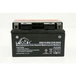 LEOCH Power Sport 12 Volt Battery (EBZ10-BS), Dry Charged AGM Maintenance Free