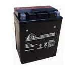 LEOCH Power Sport 12 Volt Battery (LTX14AH-BS), Dry Charged AGM Maintenance Free