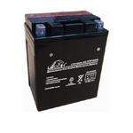 LEOCH Power Sport 12 Volt Battery (LTX14AHL-BS), Dry Charged AGM Maintenance Free