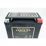 LEOCH MX15-3 High Performance 12 Volt Sealed AGM