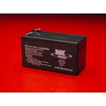 MK Sealed AGM 12 Volt Battery (12V013)